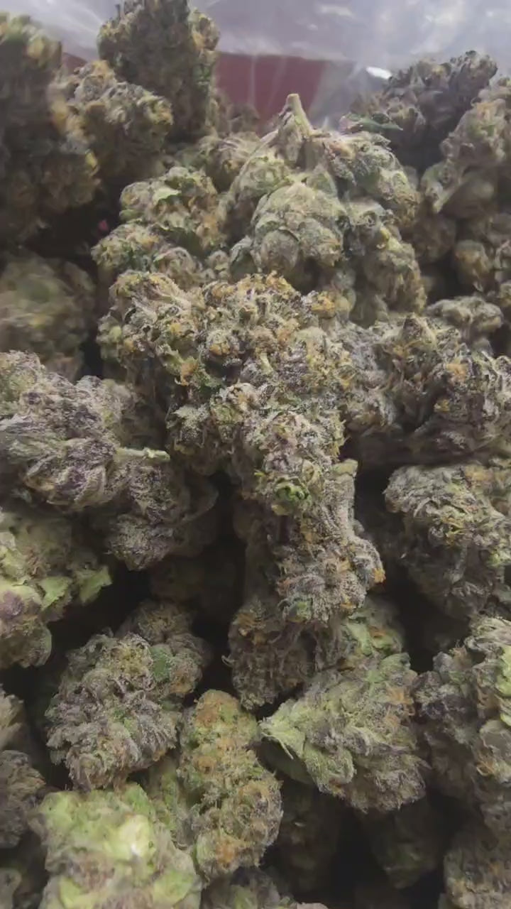 BLUEPRINT (PERMSHADE)& (V6-SKUNK X GRAPE)