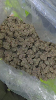 Banafy Taffy ( SPX EXOTICS)