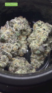 SPX EXOTICS 3.5G Jars