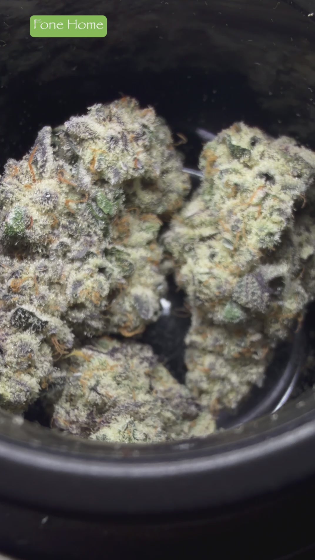 SPX EXOTICS 3.5G Jars