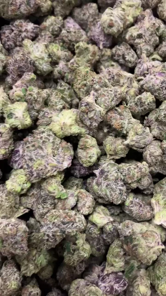 🧼 Indoor Zoap Smallz🧼