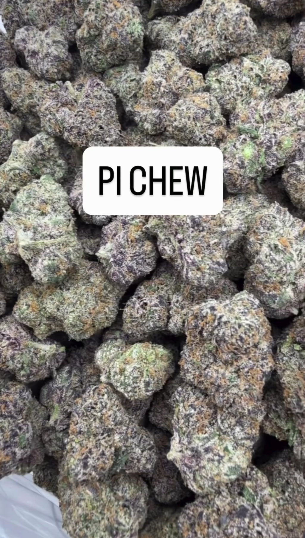 PI-CHEW
